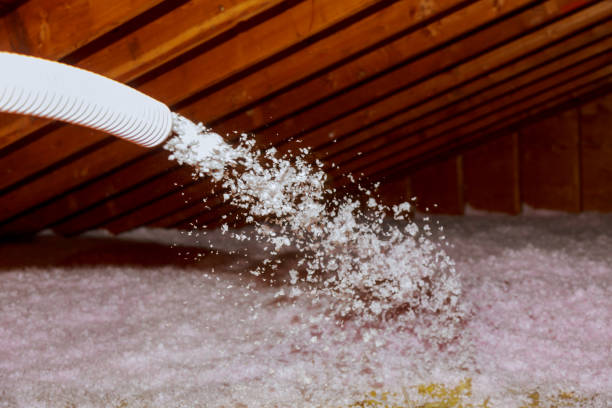 Best Blown-in Insulation in Elkhorn City, KY